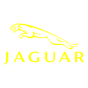   Jaguar -   100 .