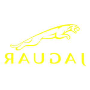      Jaguar -   100 .