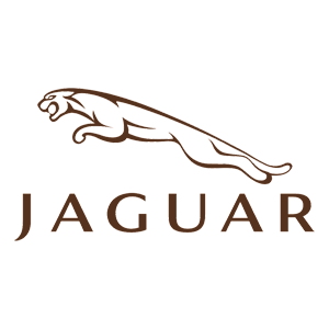   Jaguar -   100 .
