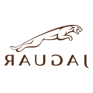      Jaguar -   100 .