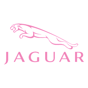   Jaguar -   100 .