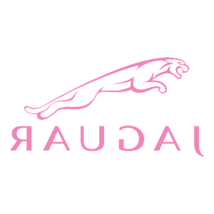      Jaguar -   100 .