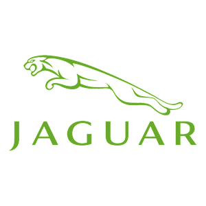 -  Jaguar -   100 .