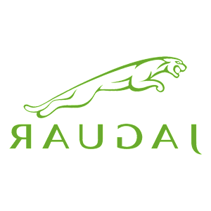    -  Jaguar -   100 .