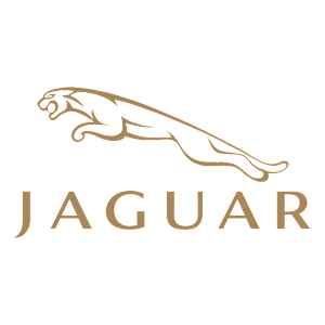-  Jaguar -   100 .
