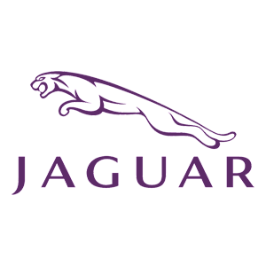   Jaguar -   100 .