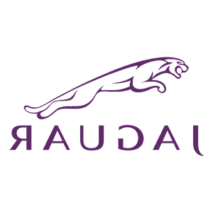      Jaguar -   100 .