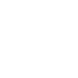      Jaguar -   100 .
