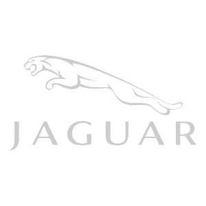 -  Jaguar -   100 .