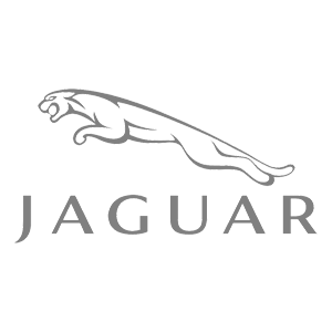   Jaguar -   100 .