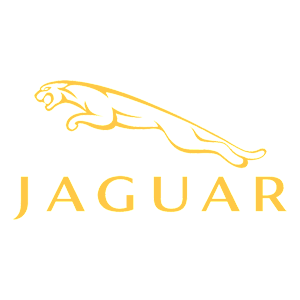   Jaguar -   100 .