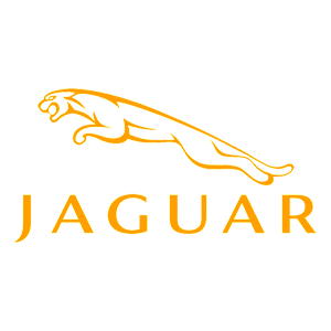   Jaguar -   100 .