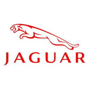   Jaguar -   100 .
