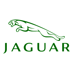   Jaguar -   100 .