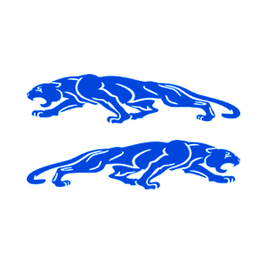   Jaguar -   136 .