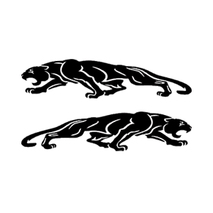   Jaguar -   136 .