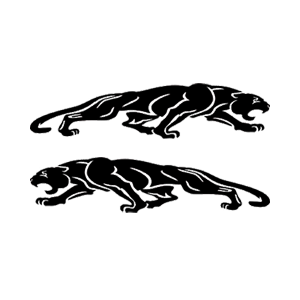      Jaguar -   136 .