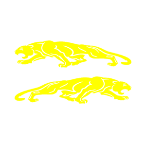   Jaguar -   136 .
