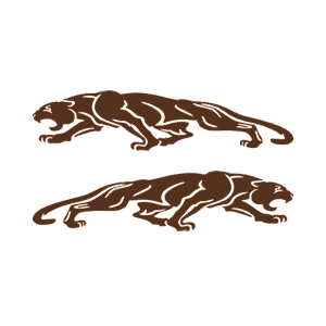   Jaguar -   136 .
