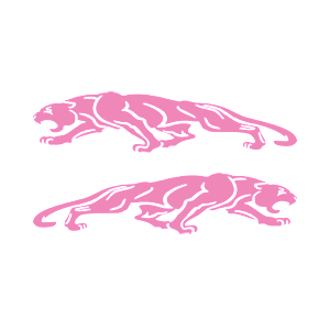   Jaguar -   136 .