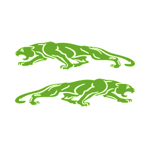 -  Jaguar -   136 .