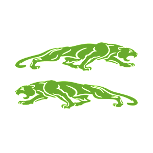    -  Jaguar -   136 .
