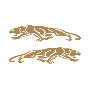 -  Jaguar -   136 .