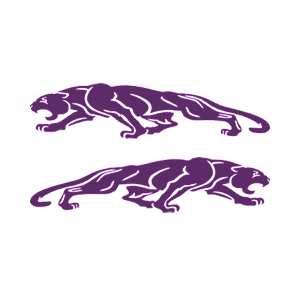   Jaguar -   136 .