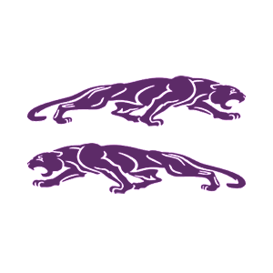      Jaguar -   136 .