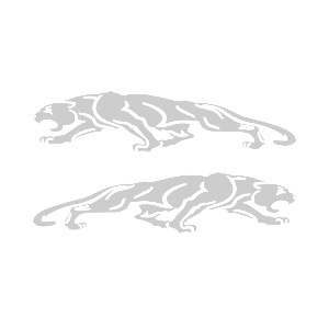 -  Jaguar -   136 .