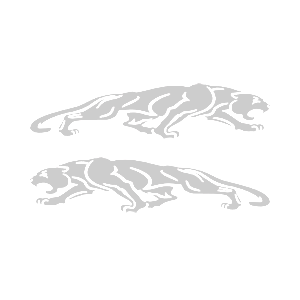    -  Jaguar -   136 .