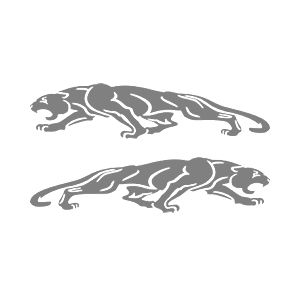   Jaguar -   136 .