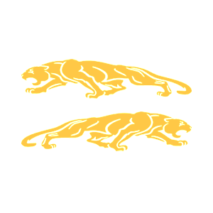   Jaguar -   136 .