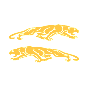      Jaguar -   136 .