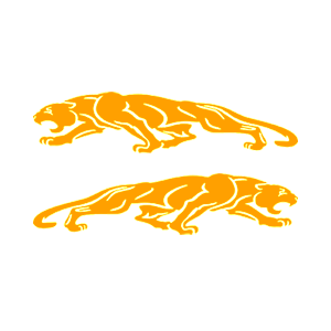   Jaguar -   136 .