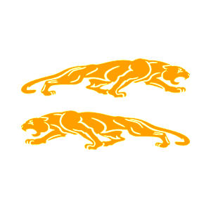      Jaguar -   136 .