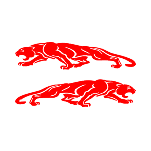   Jaguar -   136 .