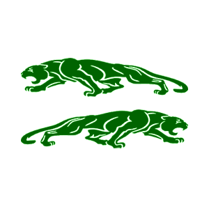   Jaguar -   136 .
