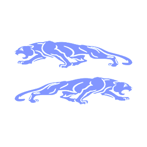   Jaguar -   136 .