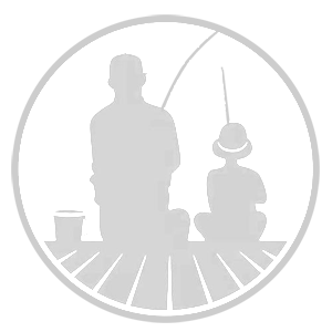           -   161 .