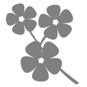       -   81 .
