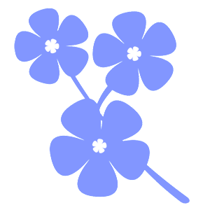       -   81 .