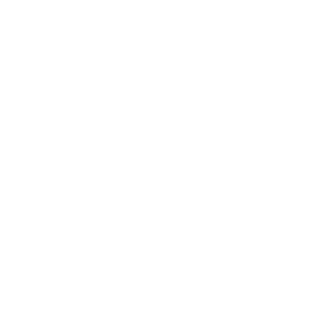      Rock & Roll -   110 .