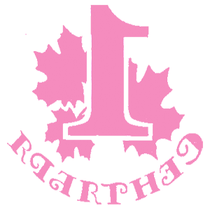     1  -   161 .