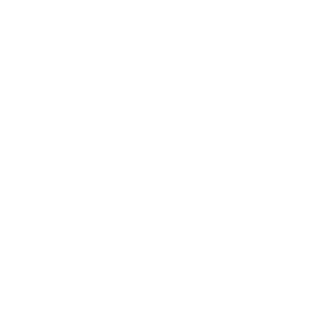     -   161 .