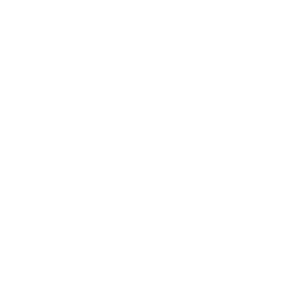        -   161 .