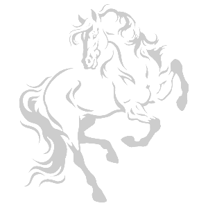 -    -   161 .