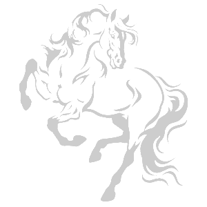    -    -   161 .