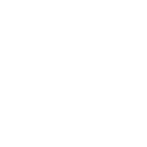          -   133 .