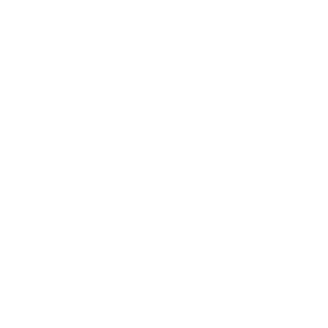        -   133 .